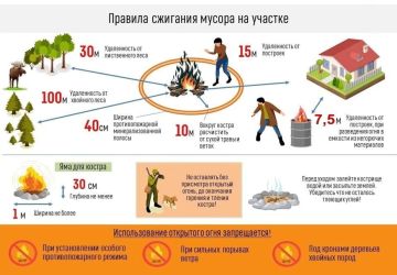 ОНДиПР по Чаплинскому МО УНДиПР Главного управления МЧС России по Херсонской области предупреждает: сжигание травы и мусора может стоить дорого