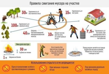 МЧС России по Херсонской области предупреждает: сжигание травы и мусора может стоить дорого