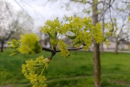 ��������� ������ �������� � ������: ����� ������ ����� � ���������� ������� 14 ������