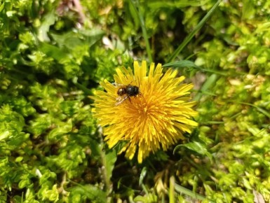 ������ ����, ������� ������ � ����� ����������� ������!