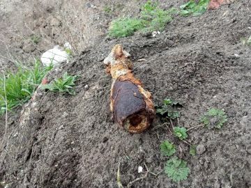 Росгвардейцы обнаружили минометный снаряд времен Великой Отечественной войны в Геническе
