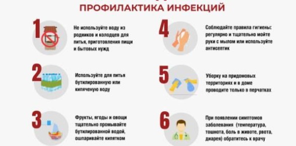 � ������������ �������� ��������