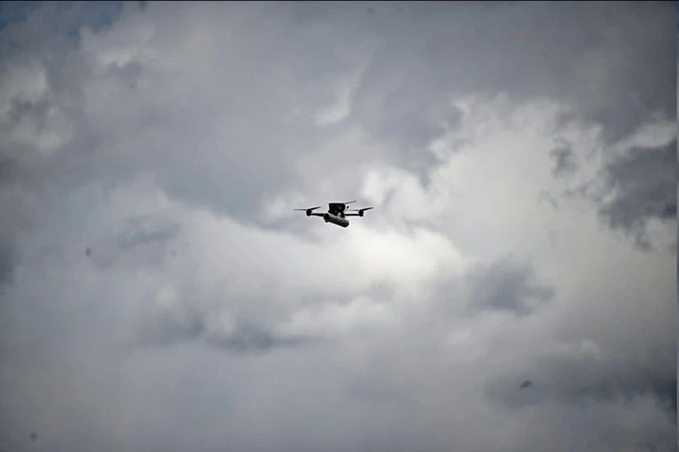 ���������� ����� ��������� ���������� ������� ������� 14 ������