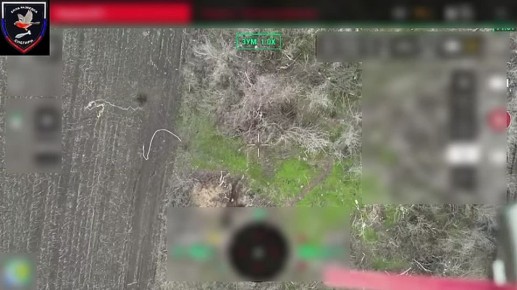 Минус свин-ползун с Запорожского направления