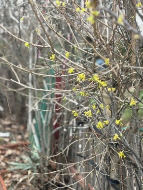 Доброе утро, округ!. Сегодня среда, 15 апреля