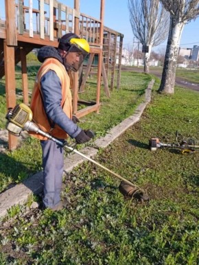 ��������������� ����������� ������: ����� ����� 15 ������