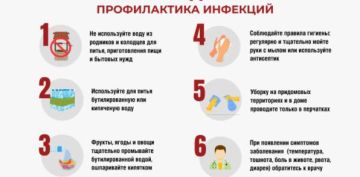 � ������������ �������� ��������