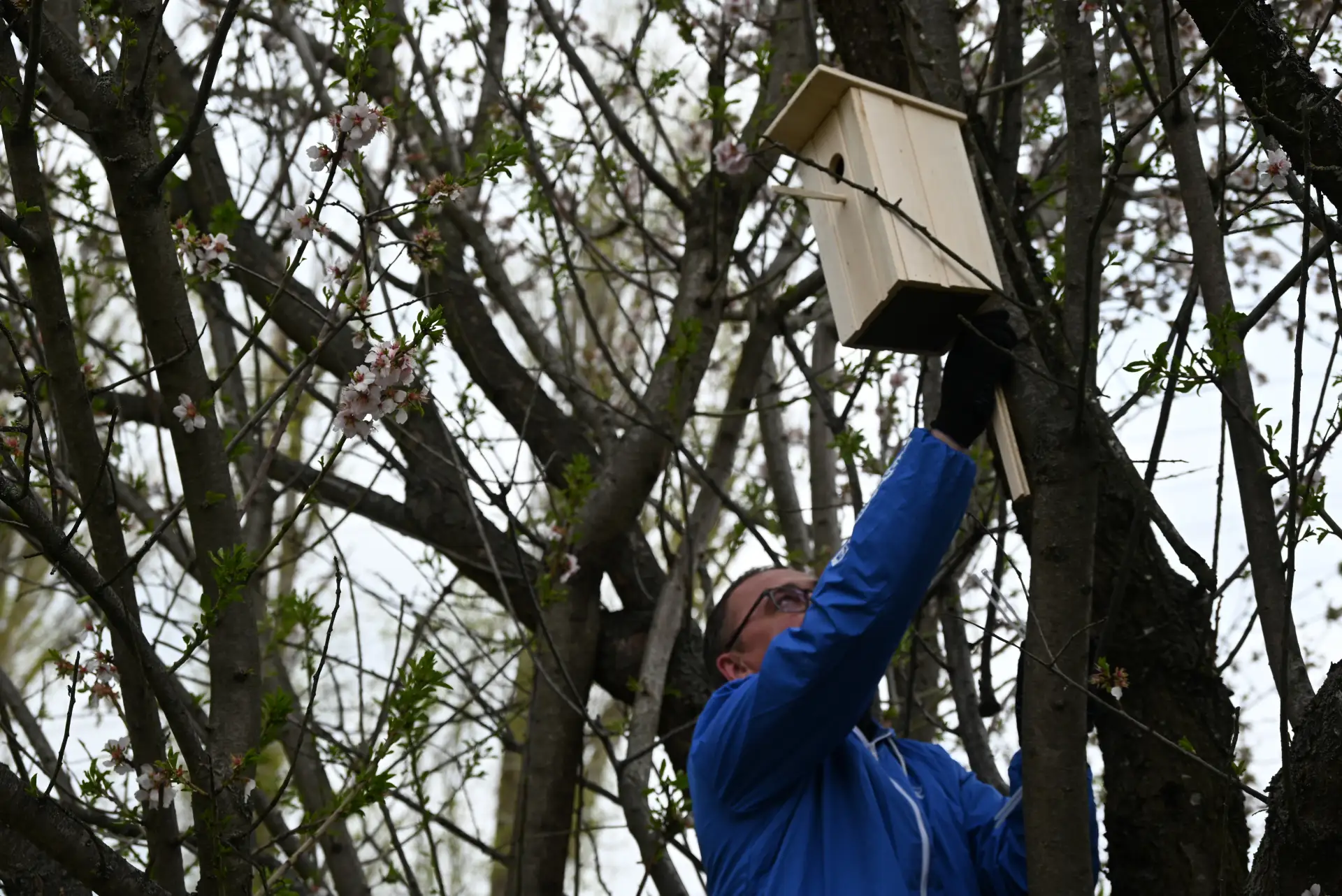 В чаплинском детском саду «Вишенка» появились новые скворечники