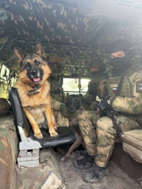 ���� �� ��������. �����������