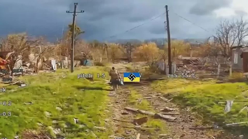 �����. ��������-����� ���������� �������