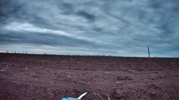 ������������ � ����-��������� �����������