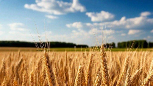 ������� ���������� ������� ������� �� ������ ������������� ��������