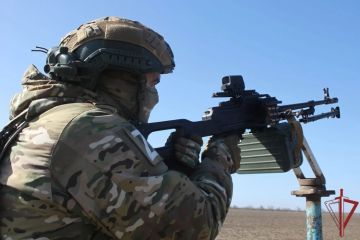 Росгвардейцы в Запорожской и Херсонской областях уничтожили более 70 беспилотников ВСУ (видео)