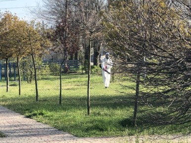 ������������ � ������������: � ���������� ������ ������� ��������� �� ������