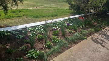 �������� ��������� ������� ������������ ���� ����������