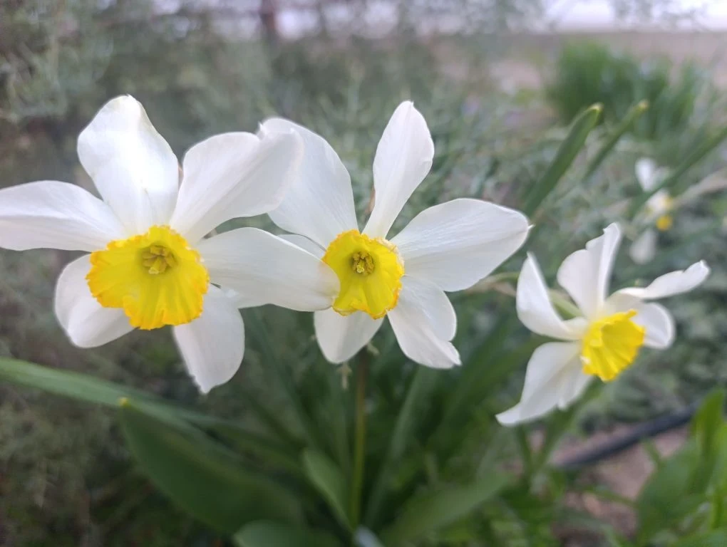 Добрый день, жители и гости Генического округа!