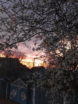 ������ �����, ������!. ������� ������� ���������� �������� ������ � ���������� ������