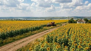 � ���������� ������� ������ ����� ������������