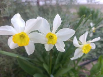 ������ ����, ������ � ����� ����������� ������!