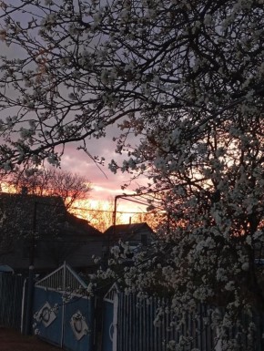 ������ �����, ������!. ������� ������� ���������� �������� ������ � ���������� ������