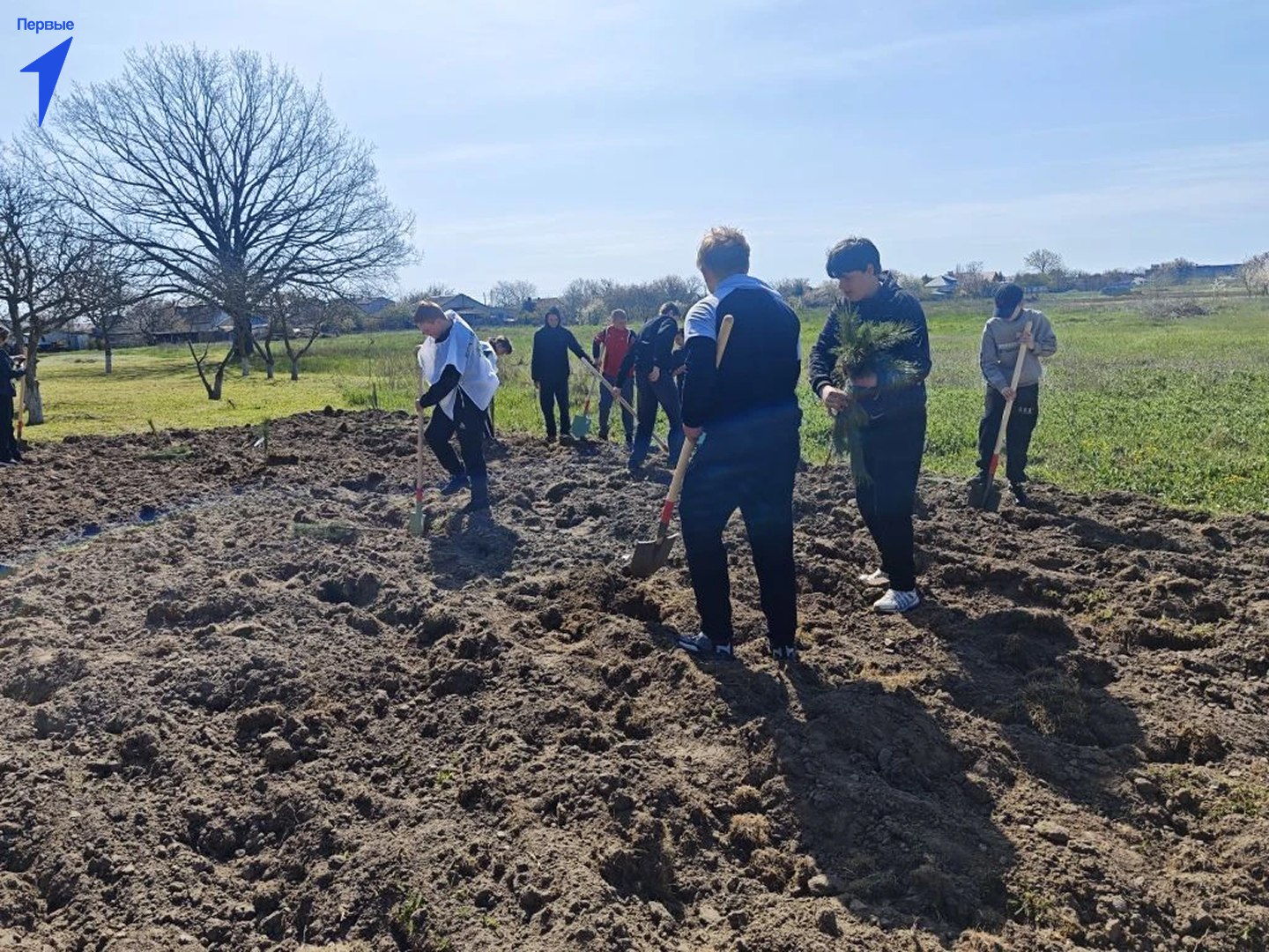 Первые Лазурненской школы приняли участие в акции «Сад памяти»
