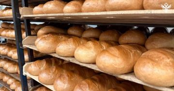 В Верхнем Рогачике восстановят комбикормовый завод, хлебокомбинат и маслозавод