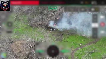 ������ � ��������� ����� ����������� ��������