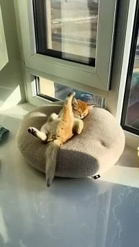 Кто там пришёл будить меня в 13 часов утра?