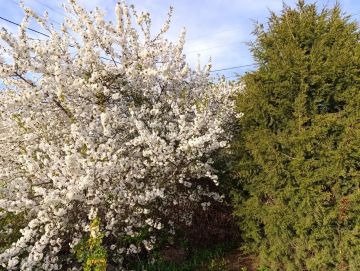 ������ ����, ������ ���������� ������!