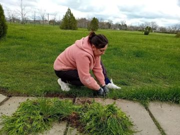 ��������� ��������� � ���� �������