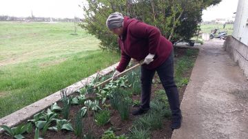 �������� ��������� ������� ������������ ���� ����������