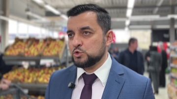 �����������: �������� � ���������� ������� ��������� ������� ������������ �����������