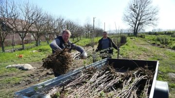 ������ �������� � ���������� ������� ������� �������� ��������