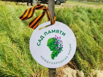 � ���� ������� ����������� ������ ������ ������������� ����� ���� ������