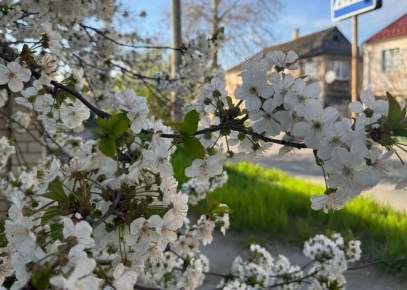 �������� ������