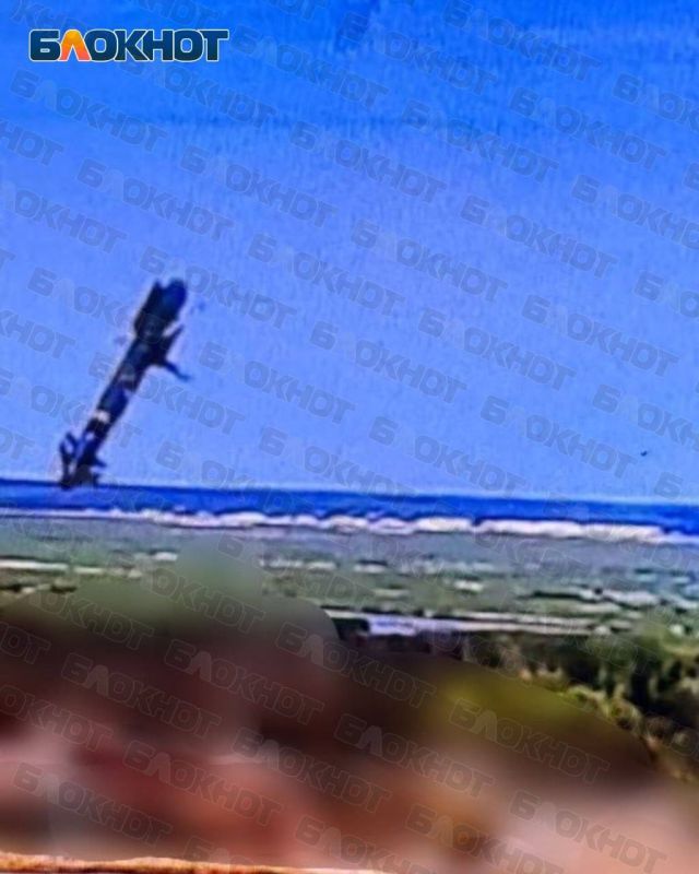 ��� ������� HAMMER �� ������������ ������