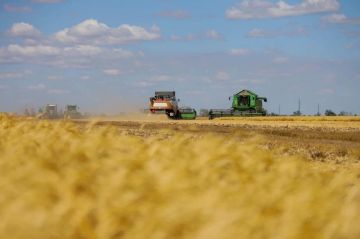 ���������� ������� ���������� �������������: ����� ������� �������� ������ ��� ������-2026