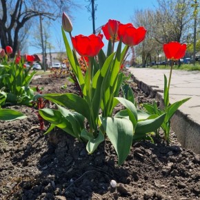 � �� ���������� ����� �����