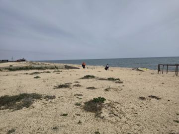 ��������� ��������� �����: ���������� ������ ������ �� ���� ��������������� �������