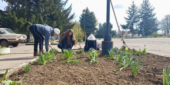 ��������� �����: �������� ���������������: ������ �����