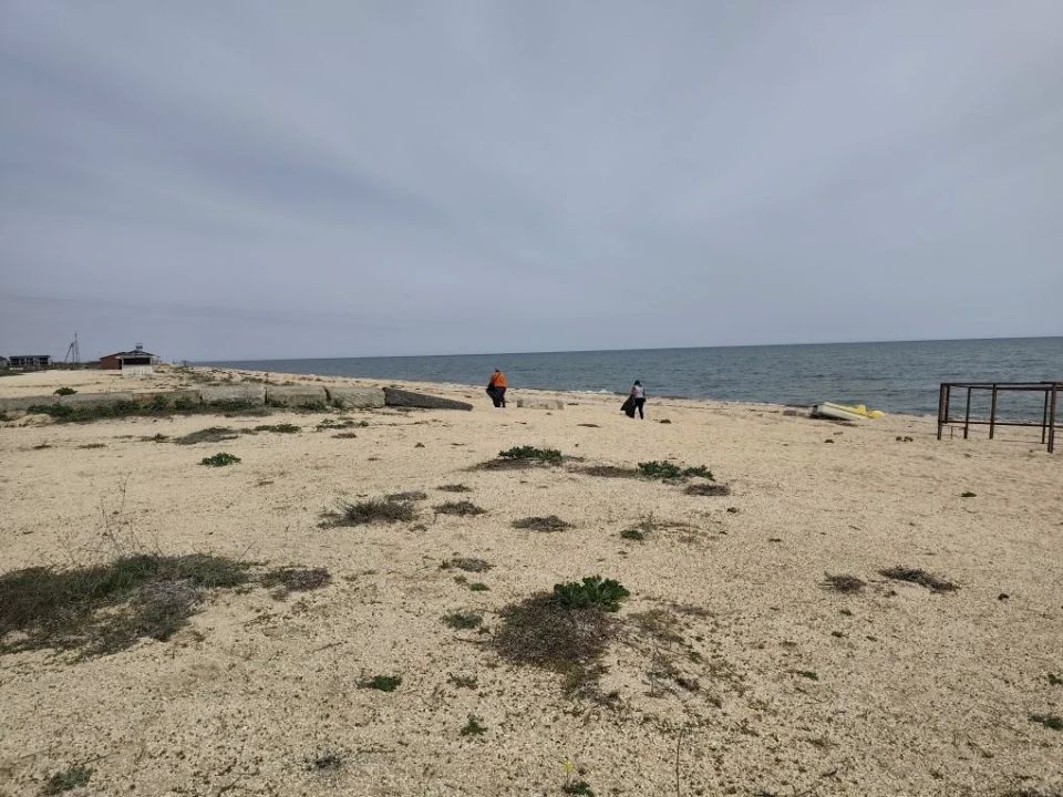 ��������� ��������� �����: ���������� ������ ������ �� ���� ��������������� �������