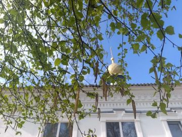 ������ ����, ������ � ����� ����������� ������!