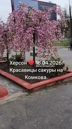 ��������� - ������ ������� �� ������� � �������