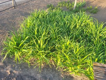 ���� ���� ������ �� �������� ������ ������ ������� ������������ ���������� ��������� �������� ������ � ������ ��������� �������� ������ � ������� "����� � ����� ������/�������"