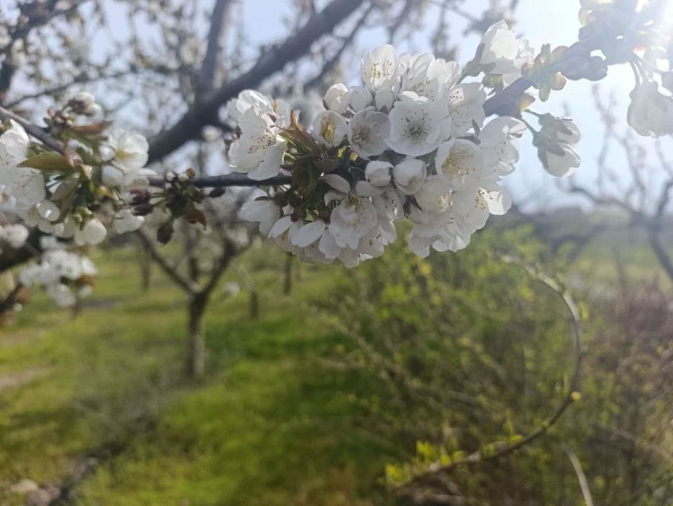 ������ ����, ������ � ����� ����������� ������!