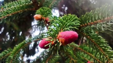 �����, ����� ������� �������� ����� �� ������ � ����������