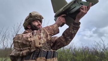 ���� �� �������: ������ ��������� ����-������������ ����� �������������� ����������� ��������� � ���� ��� ����������� �������� ������� ���� ��� ����������� ����