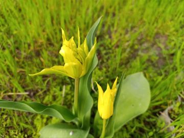 ���� � �������, ����� � ������, ������� � ���������, �� ������, �� �������, �� ��� �����, �� ��� ����