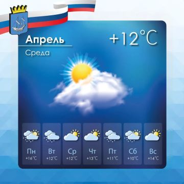 ������� ������ � ����������� ������������� ������ �� �����, 22 ������