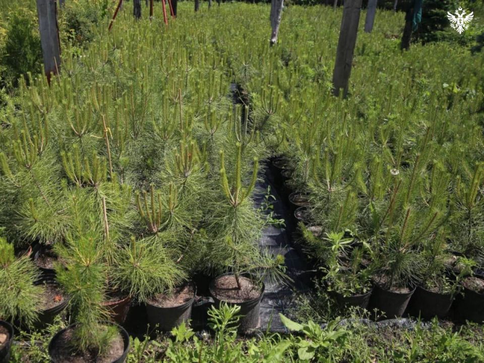 ���������� ������� ��������� � ����������� ������� 60 ����� ������� ����� ��������